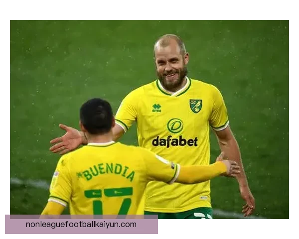 诺维奇历史升降机状态回暖，市场竞争力增强，令人瞩目